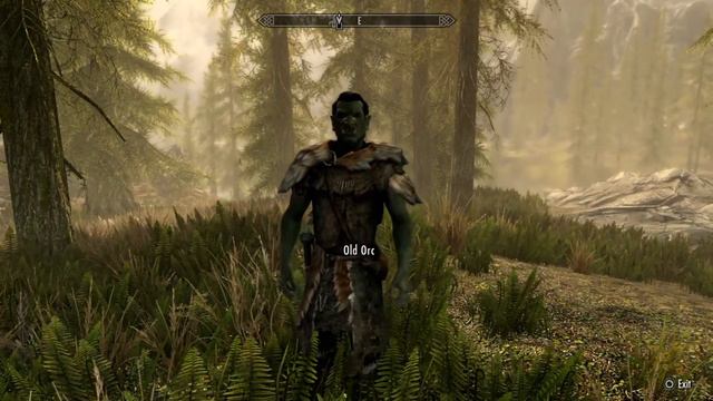 Elder scrolls 6: location, new races, and classical era and more? смотреть онлайн
