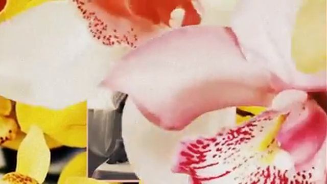 Konul Kerimova Bileydim gerek 2014 смотреть онлайн