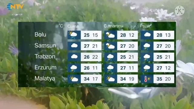 NTV - Sunar Örneği + Hava Durumu Kuşağı + Sundu Örenği + Belgesel + Akıllı İşaretler Örneği смотреть онлайн