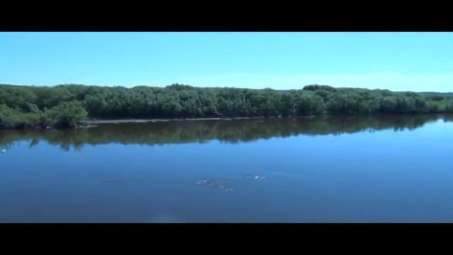 Природа на.mpg смотреть онлайн