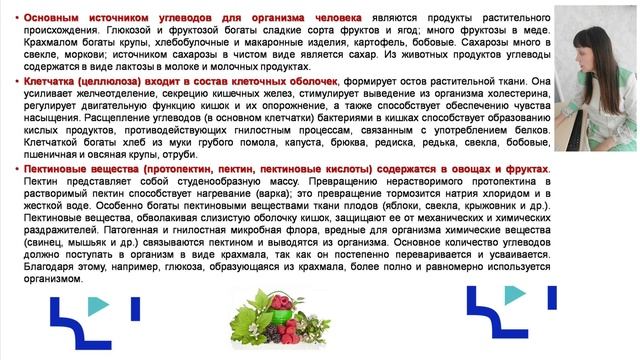 2.1. Потребность организма человека в питательных веществах.mp4 смотреть онлайн