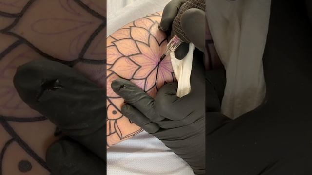 SATISFYING TATTOO VIDEO!!! LINEWORK!!! смотреть онлайн