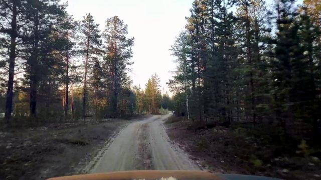 Поездки по лесу