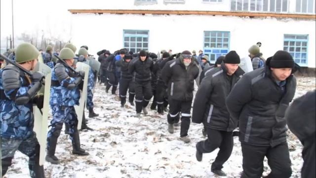 Тюремные будни. Блатные и петухи. смотреть онлайн