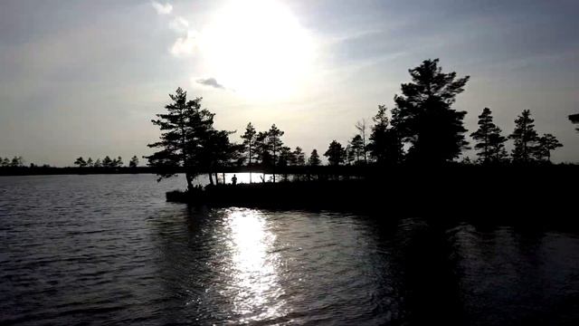 Уникальное болотное озеро Ельни. Больше кадров под водой смотреть онлайн