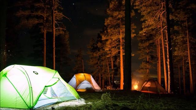 Звуки природы Уснуть в Лесу при костре и пением сверчков смотреть онлайн