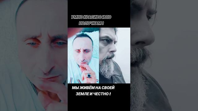 Всё по полочкам ! #силавправде смотреть онлайн