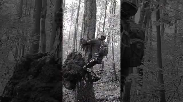 Без названия