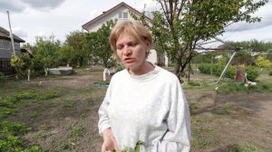 Зеленое Удобрение из Травы - Эффективный Травяной Настой для Подкормки Растений