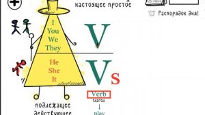 Present Simple V/Vs. Утвердительные предложения со смысловыми глаголами.