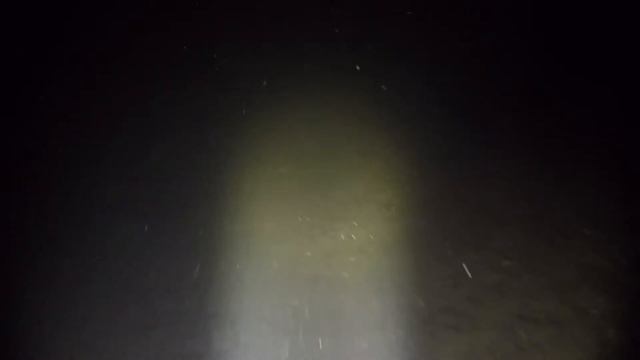 Толстолоб выходного дня смотреть онлайн