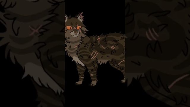 коты-воители(сорри, что у Горелки зад,так вышло). смотреть онлайн