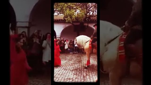 Tango de caballo смотреть онлайн