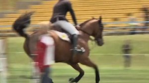 Гимн конников {Конный спорт}