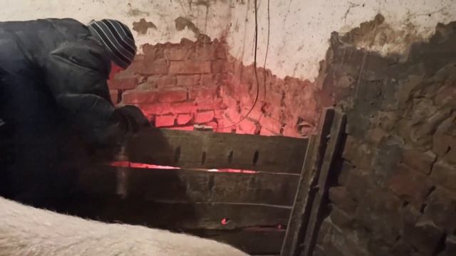 Как лечить пупочную ГРЫЖУ???БМВД для кормящей свиноматки. смотреть онлайн