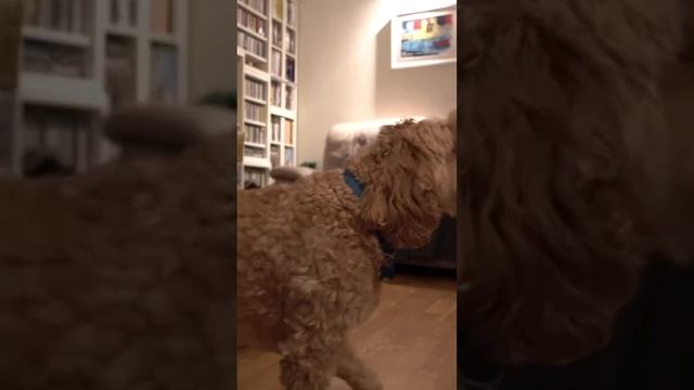 Locked Out Denied Shed Stay No Sleep For Me