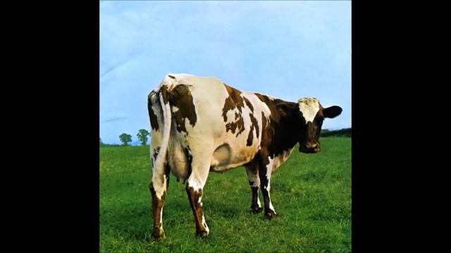 Pink Floyd - Alan's Psychedelic Breakfast (Full Song)