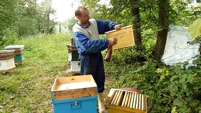 ставим второй корпус и подставляем вощину смотреть онлайн