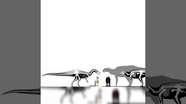 Suchomimus And Gryposaurus Size Comparison смотреть онлайн