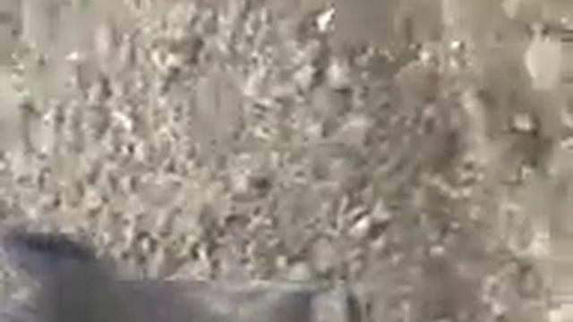 Охота на кабана смотреть онлайн