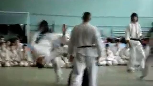 Seminar Aikido 2007 March Lviv смотреть онлайн