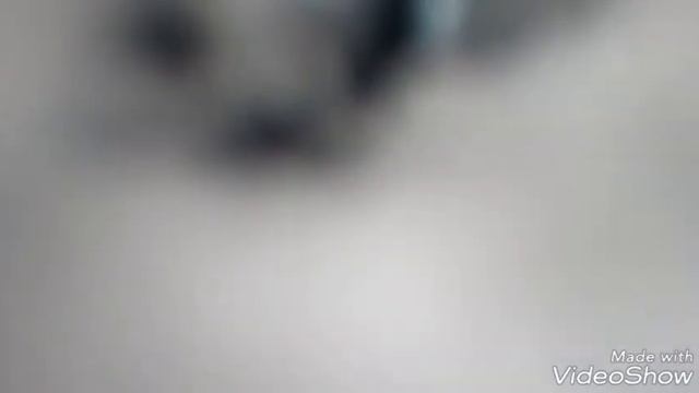 WINTER//ЗИМА//ПРЕДНОВОГОДНИЙ КЛИП//ПОСТАВЬТЕ ЛАЙК//ПОДПИШИТЕСЬ смотреть онлайн