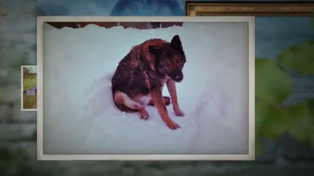 Винтажный стиль. Видео из фото смотреть онлайн