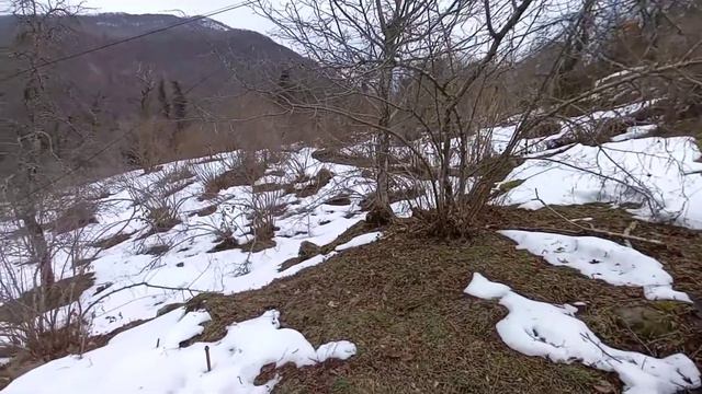 Марьино Лазаревский район. Участок в продаже. смотреть онлайн