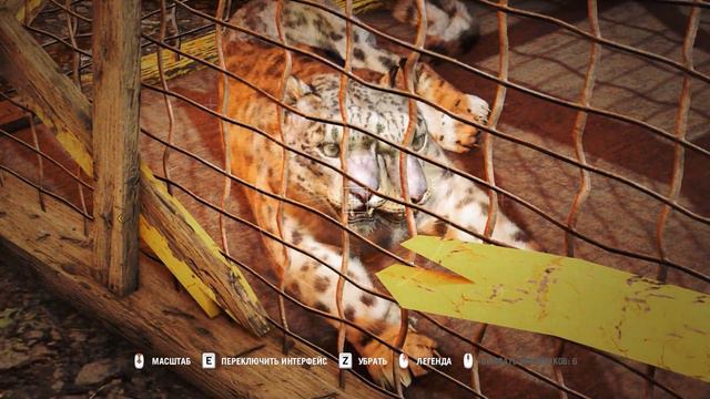Far Cry 4 - Двойной леопард в клетке. смотреть онлайн