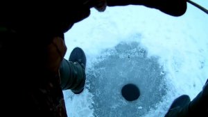 Зимняя рыбалка Как ловить зимой плотву на поплавок