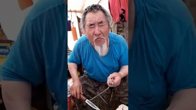 "Лесной ресторан" как правильно есть мясо горного барана смотреть онлайн