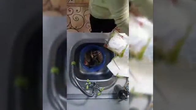 Чистка рыбы смотреть онлайн