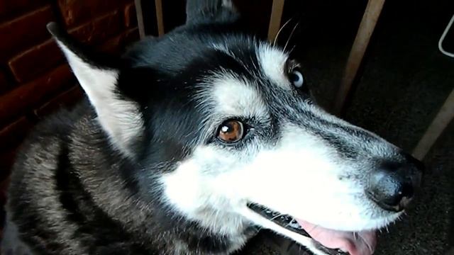 Nikon coolpix L120 Video Test. смотреть онлайн