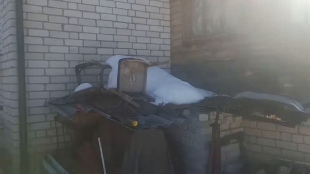 Нижегородка превратила подвал в сад из тюльпанов смотреть онлайн