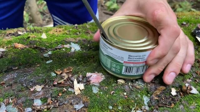 Новая модель «Forester» полный обзор