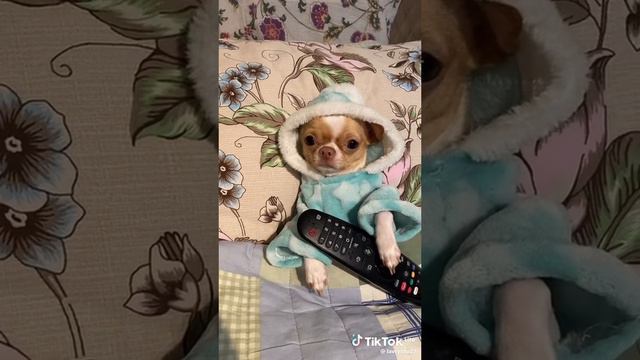 папка смотреть онлайн