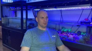 "Рифовый Аквариум" СПС Кораллы. Часть 36