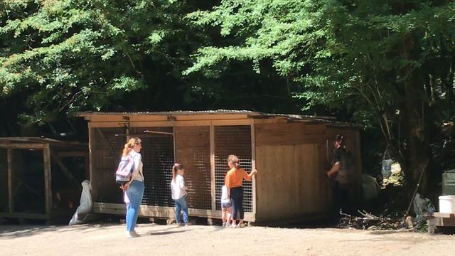 Зоопарк по дороге в скай парк смотреть онлайн