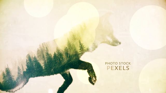 demo_Title sequence_Double Exposer смотреть онлайн