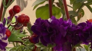 Песне «Элдермешкэ кайтам эле» в августе исполнилось 25 лет