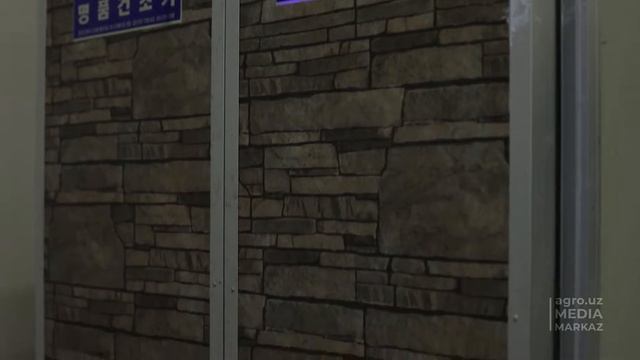 DARAXTI O‘TA CHIDAMLI, MEVASI KONI FOYDA, SUKATI QIMMATBAHO CHILONJIYDA смотреть онлайн