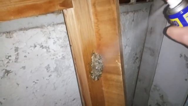 Как избавиться от осиного гнезда смотреть онлайн