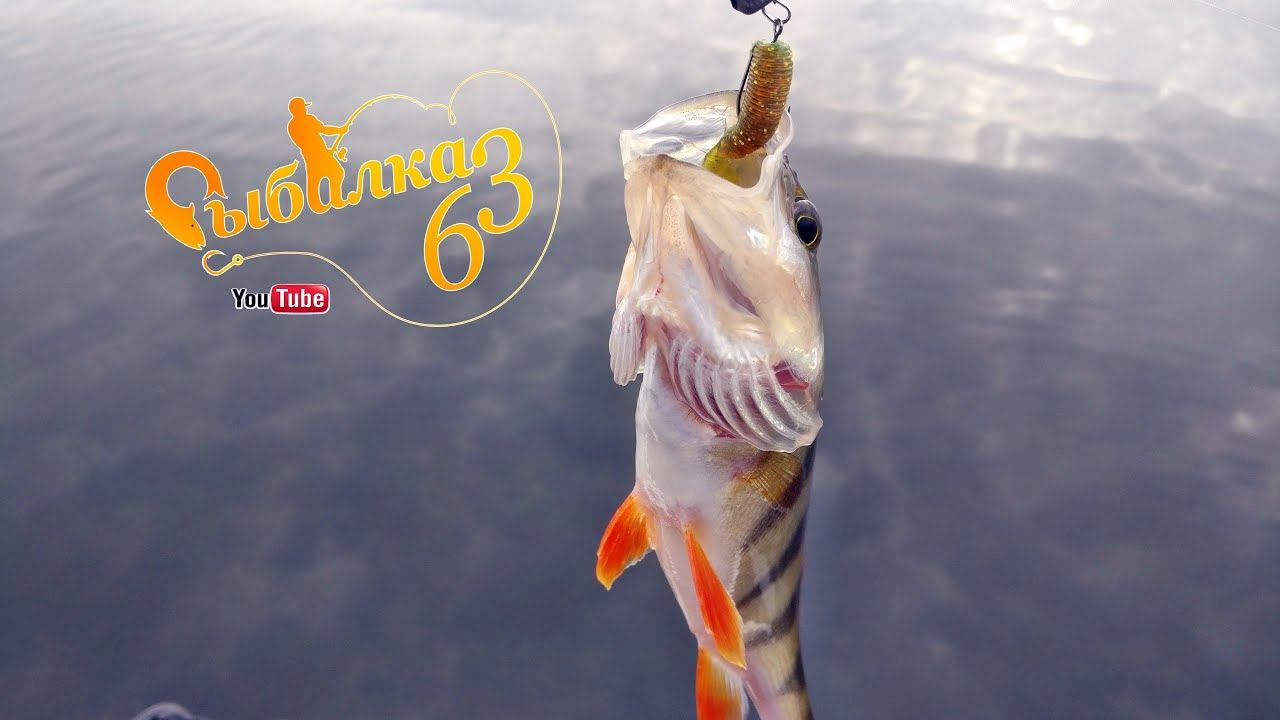 Окунь осенью на ультралайт, ловля окуня осенью