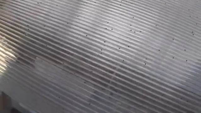 Термообработка пчел. Как Это?! Теория и практика! Пасека Нижегородец в ульях ППУ Нижегородец смотреть онлайн