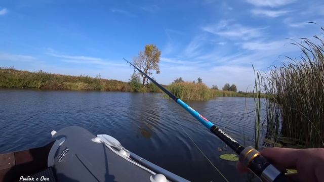 Зачетная СВЕЧА Сезона или Первый ТРОФЕЙ! ТОЛЬКО 160-е! Рыбалка на СПИННИНГ! Джиг или Твичинг!? смотреть онлайн