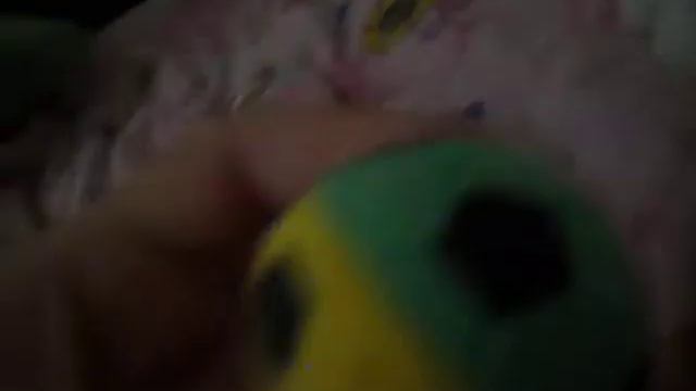 Мой милый кот смотреть онлайн