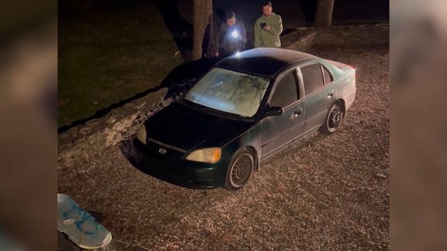 Watch the tense moment a 'huge' bear trapped in a car is released смотреть онлайн