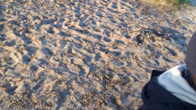Гуляем на озере Солнечное смотреть онлайн
