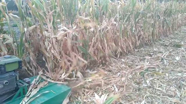 Мульчер для мотоблока, роторная косилка измельчитель. смотреть онлайн