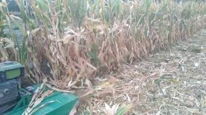 Мульчер для мотоблока, роторная косилка измельчитель.